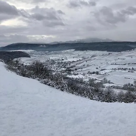 Le Tilleul De La Vallée Noble