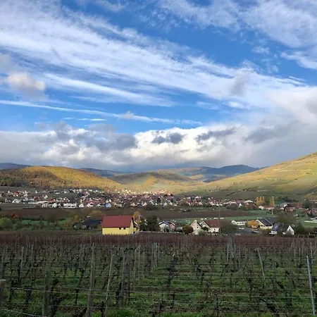 Le Tilleul De La Vallee Noble Westhalten