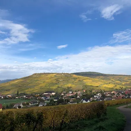 Le Tilleul De La Vallee Noble Westhalten